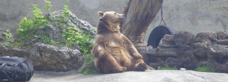 Výlet - zoo bojnice - 22.05.2013 - Img 0042