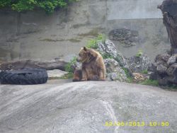 Img 0038