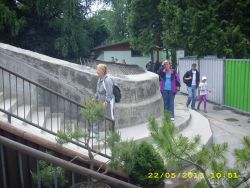 Img 0041