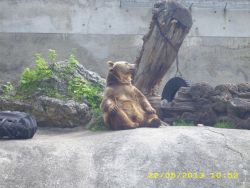 Img 0042