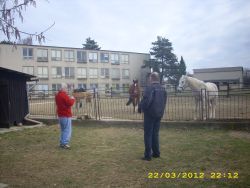 Img 0215