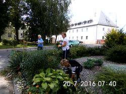 Pracovná terapia - 20.07.2016