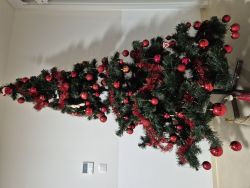 Vianoce 2025 - 20251212_080540_zmensena