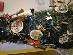 Vianoce 2025 - 20251222_055806_zmensena